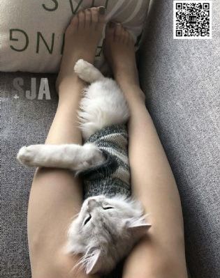 免费av手机在线观看_HD超清免费观看