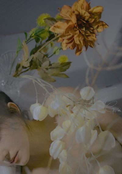 国产欧美一区二区三区免费视频_720免费观看最新